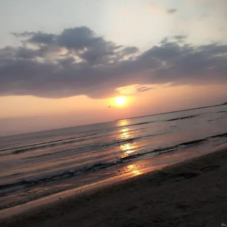 Mamaia Wonderful Place *
